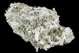 Cubic Pyrite and Quartz Crystal Association - Peru #126584-1